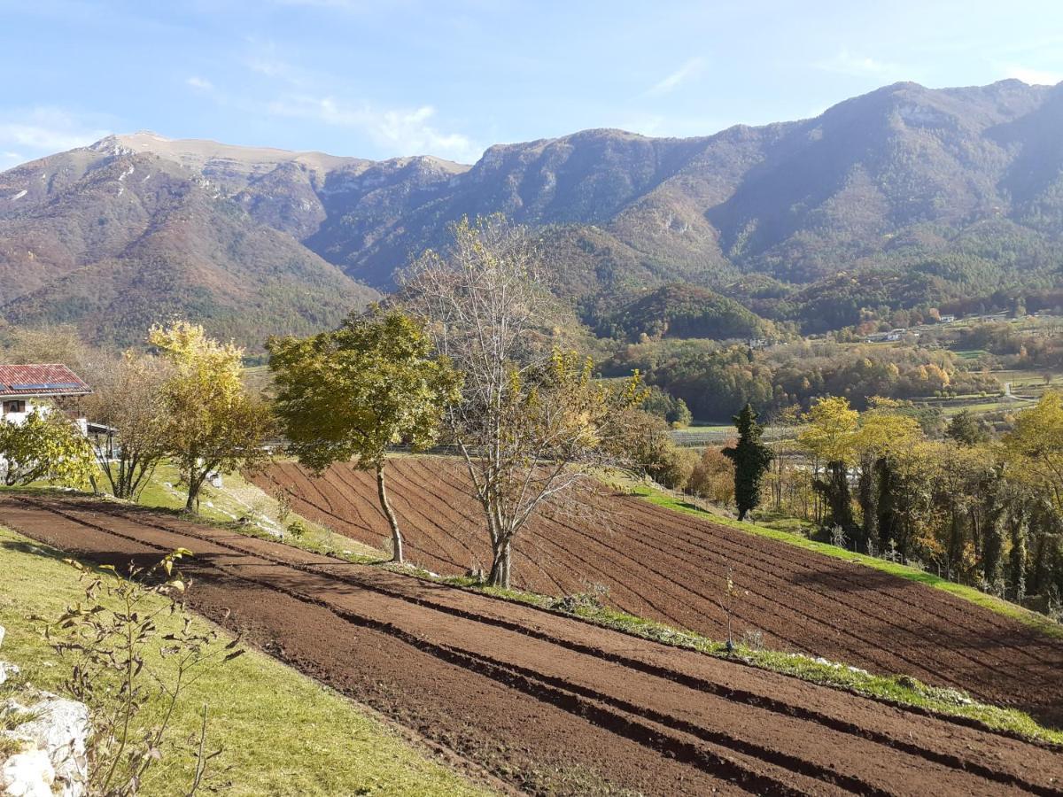 Drena Coste Del Gaggio - Country House B&B - Garda Trentino מראה חיצוני תמונה