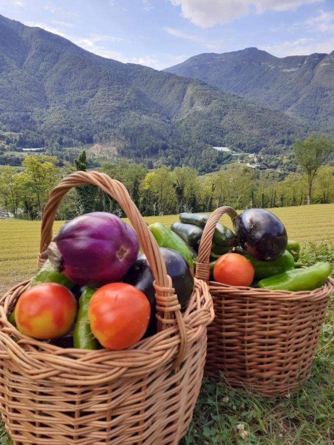Drena Coste Del Gaggio - Country House B&B - Garda Trentino מראה חיצוני תמונה