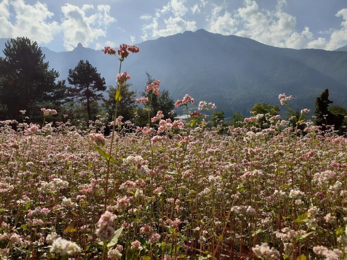 Drena Coste Del Gaggio - Country House B&B - Garda Trentino מראה חיצוני תמונה
