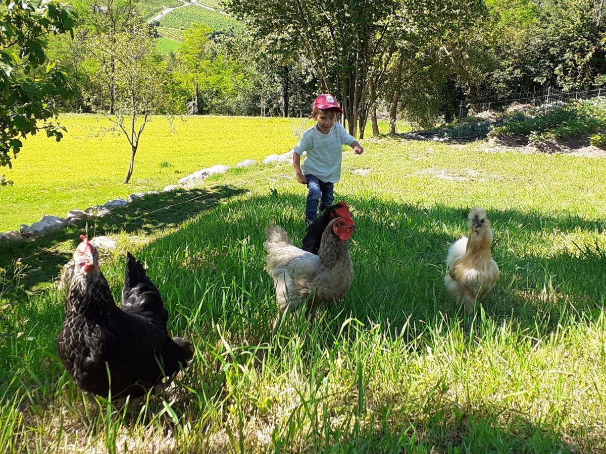 Drena Coste Del Gaggio - Country House B&B - Garda Trentino מראה חיצוני תמונה