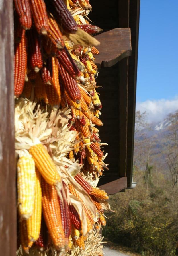Drena Coste Del Gaggio - Country House B&B - Garda Trentino מראה חיצוני תמונה